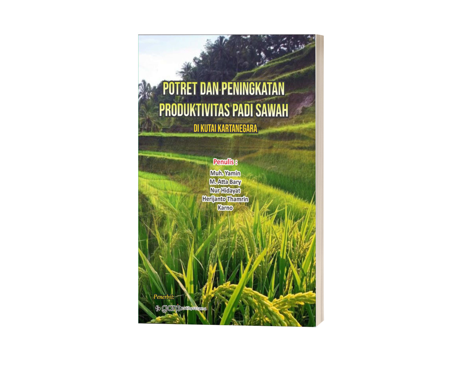 Potret dan Peningkatan Produktivitas Padi Sawah di Kutai Kartanegara